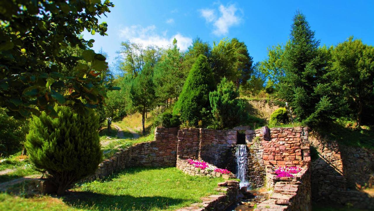 Camping Resort La Trapera Pradoluengo エクステリア 写真