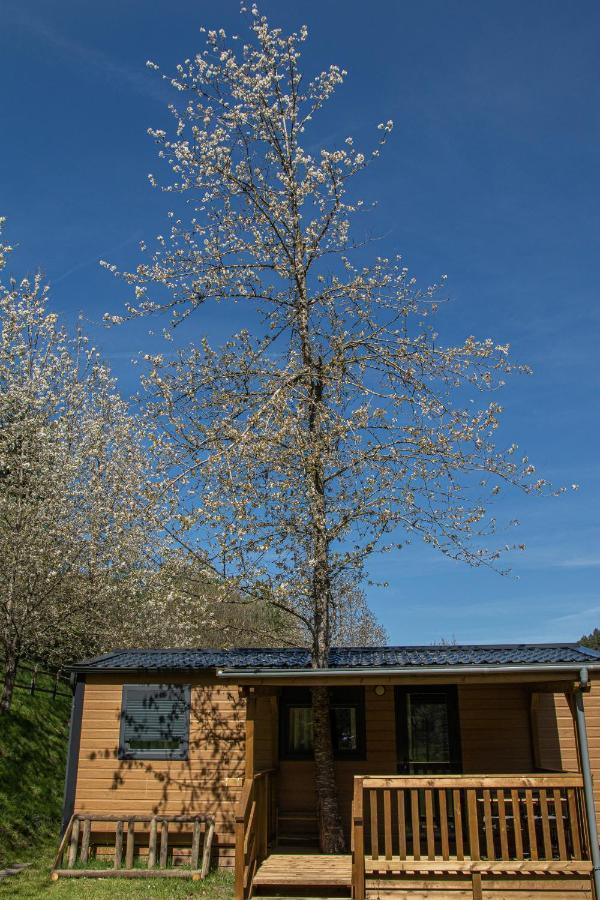 Camping Resort La Trapera Pradoluengo エクステリア 写真